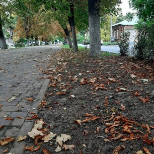 Осень в городе Новочеркасске