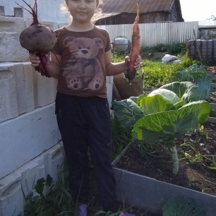 "Овощная идиллия"