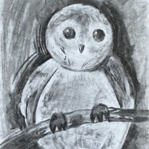 «Сова в лесу»