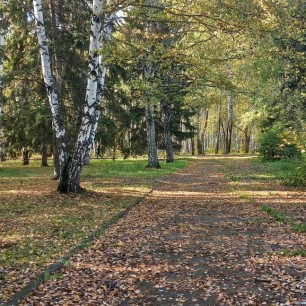 Осенняя тропа