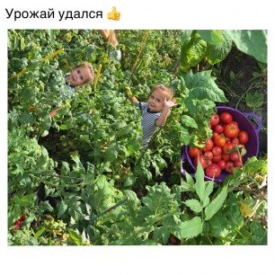 "Урожай у нас неплох!"