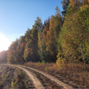 Осень