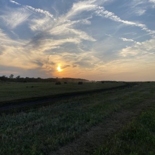 Красота августа