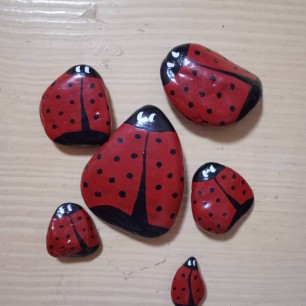Божьи коровки