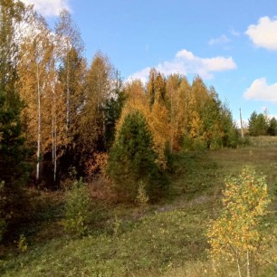 Осенняя прогулка