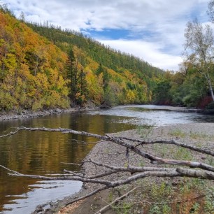 Красота осени. Хабаровский край