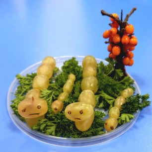 "Гусенички"