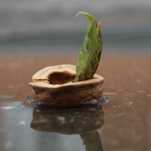 Кораблик из ореха