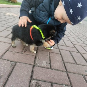 " Маленькое пушистое чудо"