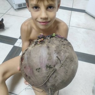Наш гигантский урожай