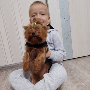 Большие друзья на долгие годы