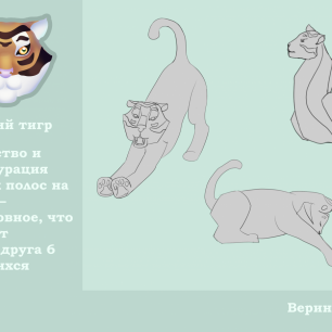 Брошюра ,,Амурский тигр''