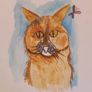 Мой кот Барсик