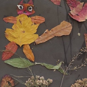 Кот гуляет по саду