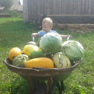 "Богатый урожай"