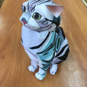 "Кот Барсик"