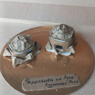 "Черепашки на луне"