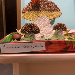 Боровички