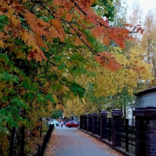 осенняя палитра