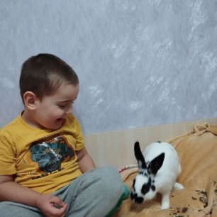 Дружок