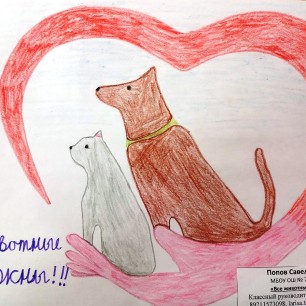 Все животные важны!