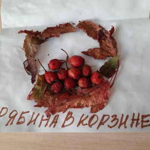 Рябина в корзине