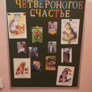 Мое четвероногое счастье