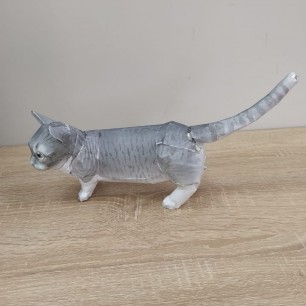 "Кот"