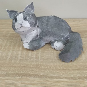 " Кот"