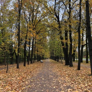 Осень в парке