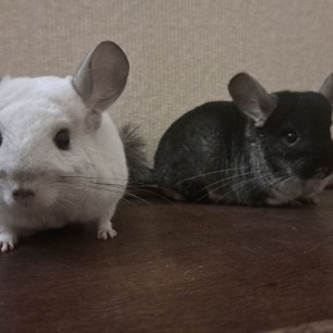 Мягкие клубочки