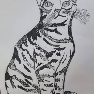 "Мой кот"