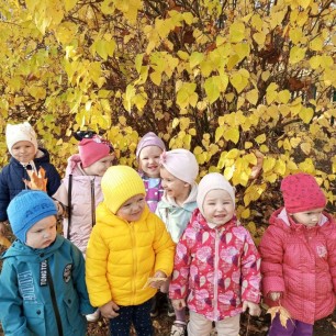 Осенние прогулки в детском саду