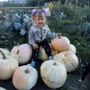Осень тыквами богата