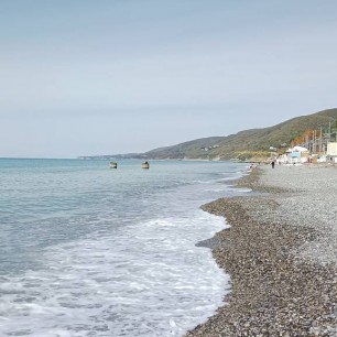 На берегу моря