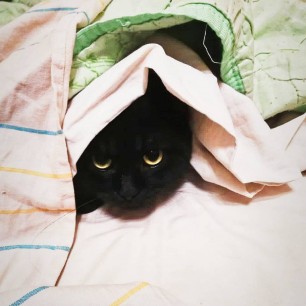А может, кусь