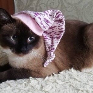 Готов ко сну