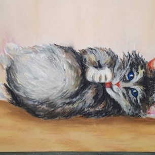 Кот-игрун