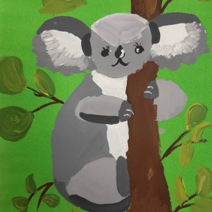 Коала
