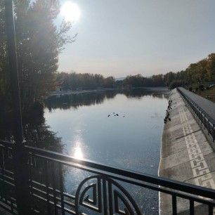 Встреча с утками ранним утром