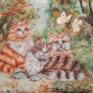 "Кошачий рай"