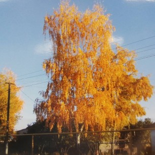 мой край