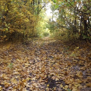 "Золотая осень"
