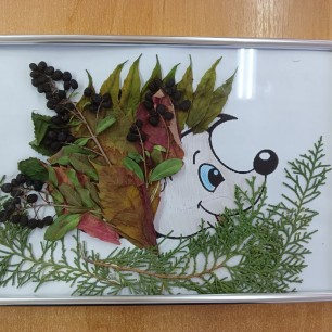 Лесной красавец