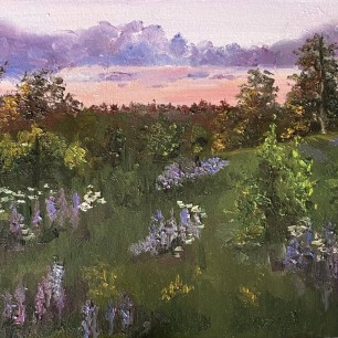 Летний закат