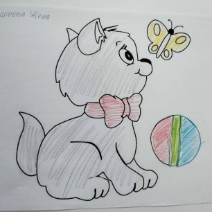 Любимый мячик котёнка