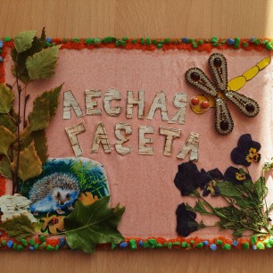Лесная газета