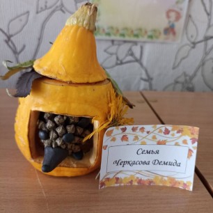 "Домик для ежика"