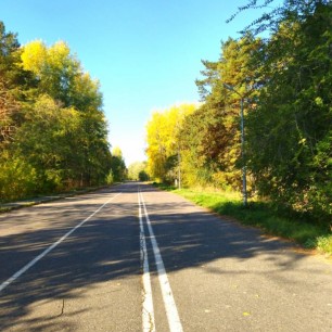 Разноцветная осень