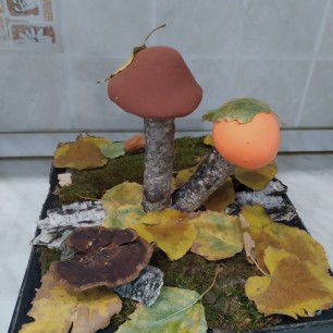 Боровички